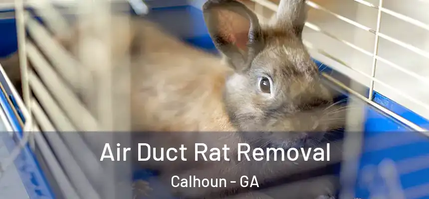  Air Duct Rat Removal Calhoun - GA