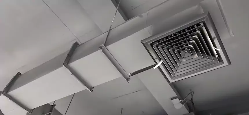 Our Pest Removal From Ducts Services in Calhoun, GA