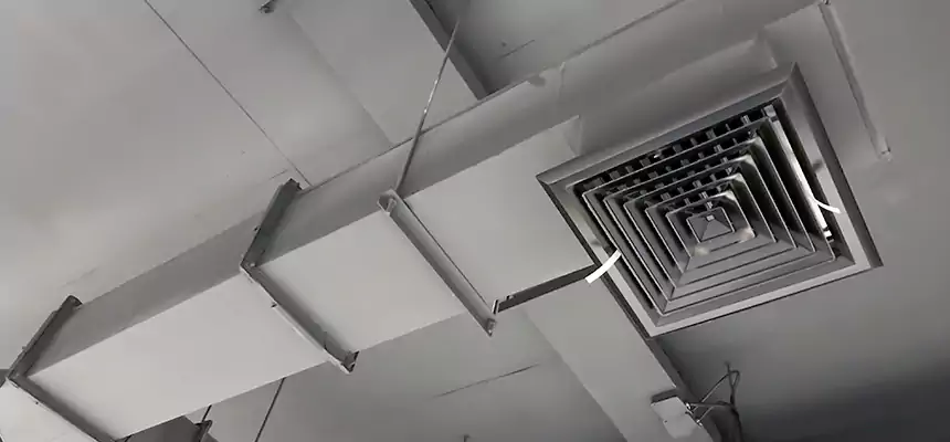 Our Rodent Droppings In Vents Services in Calhoun, GA