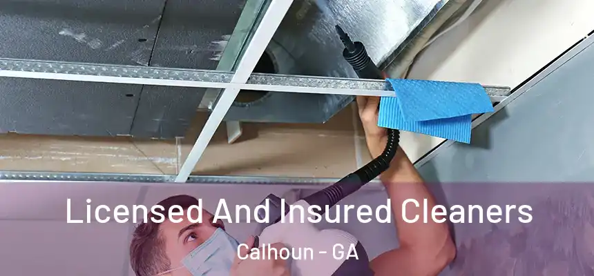  Licensed And Insured Cleaners Calhoun - GA