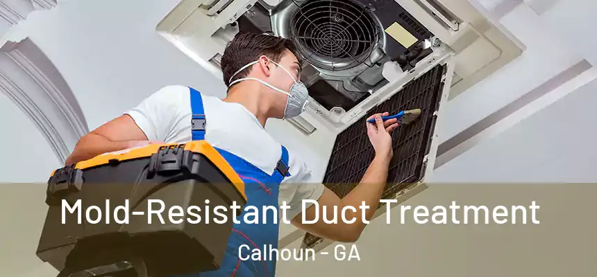 Mold-Resistant Duct Treatment Calhoun - GA