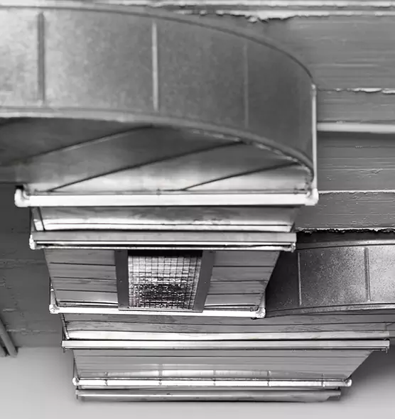 Professional Air Duct Pet Hair Removal in Calhoun, GA