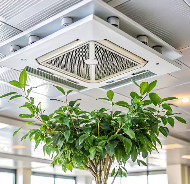 Why Homeowners & Businesses Trust Us in Calhoun, GA